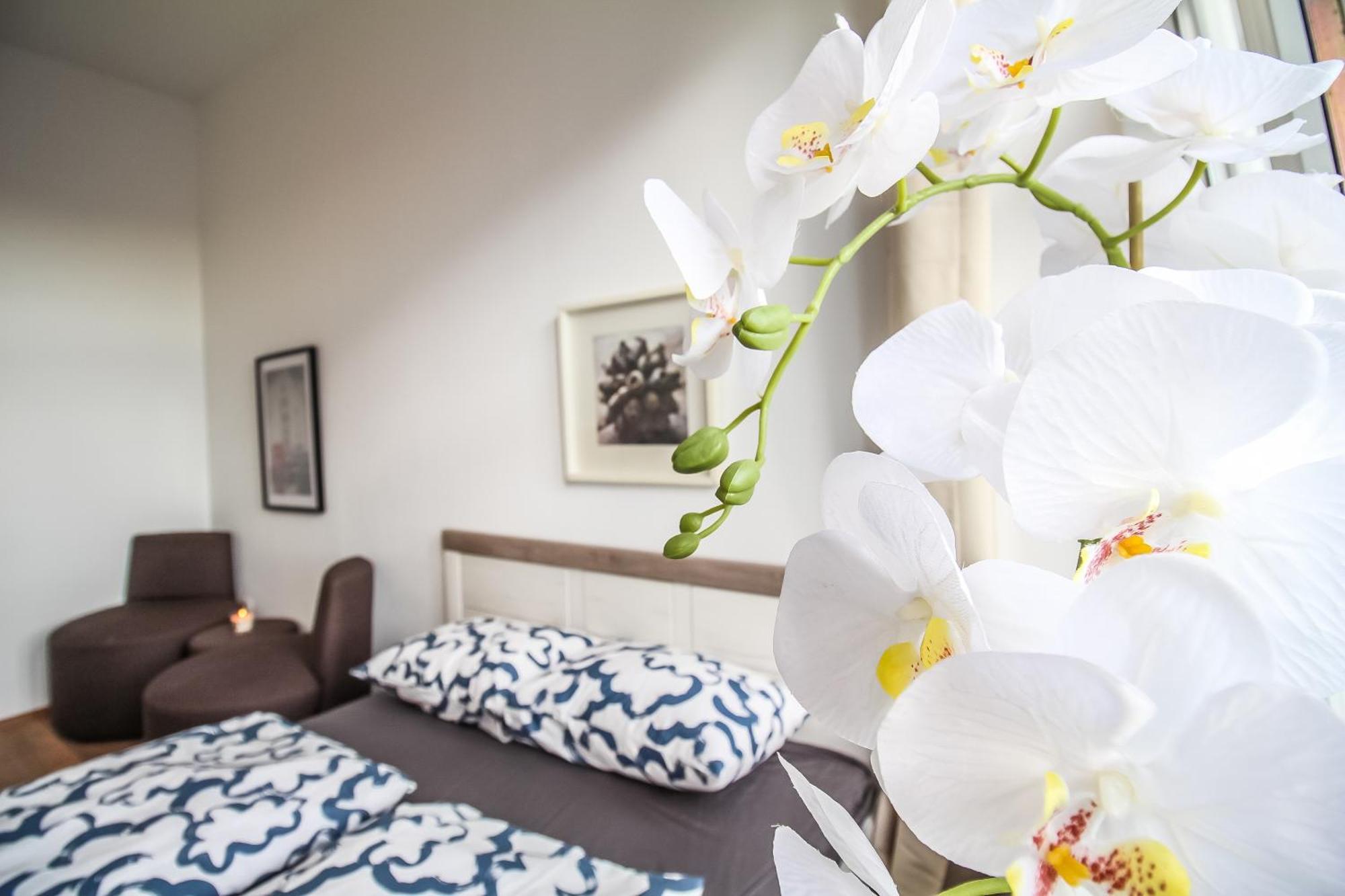 Disc Cozy Rooms In Liesing Vienna Exterior photo